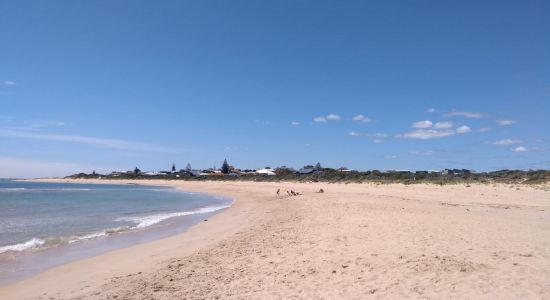 Avalon Beach