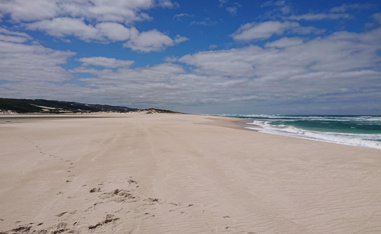 Foto af Yeagarup Beach med lys sand overflade