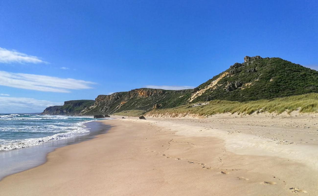 Foto af Salmon Beach med lys sand overflade