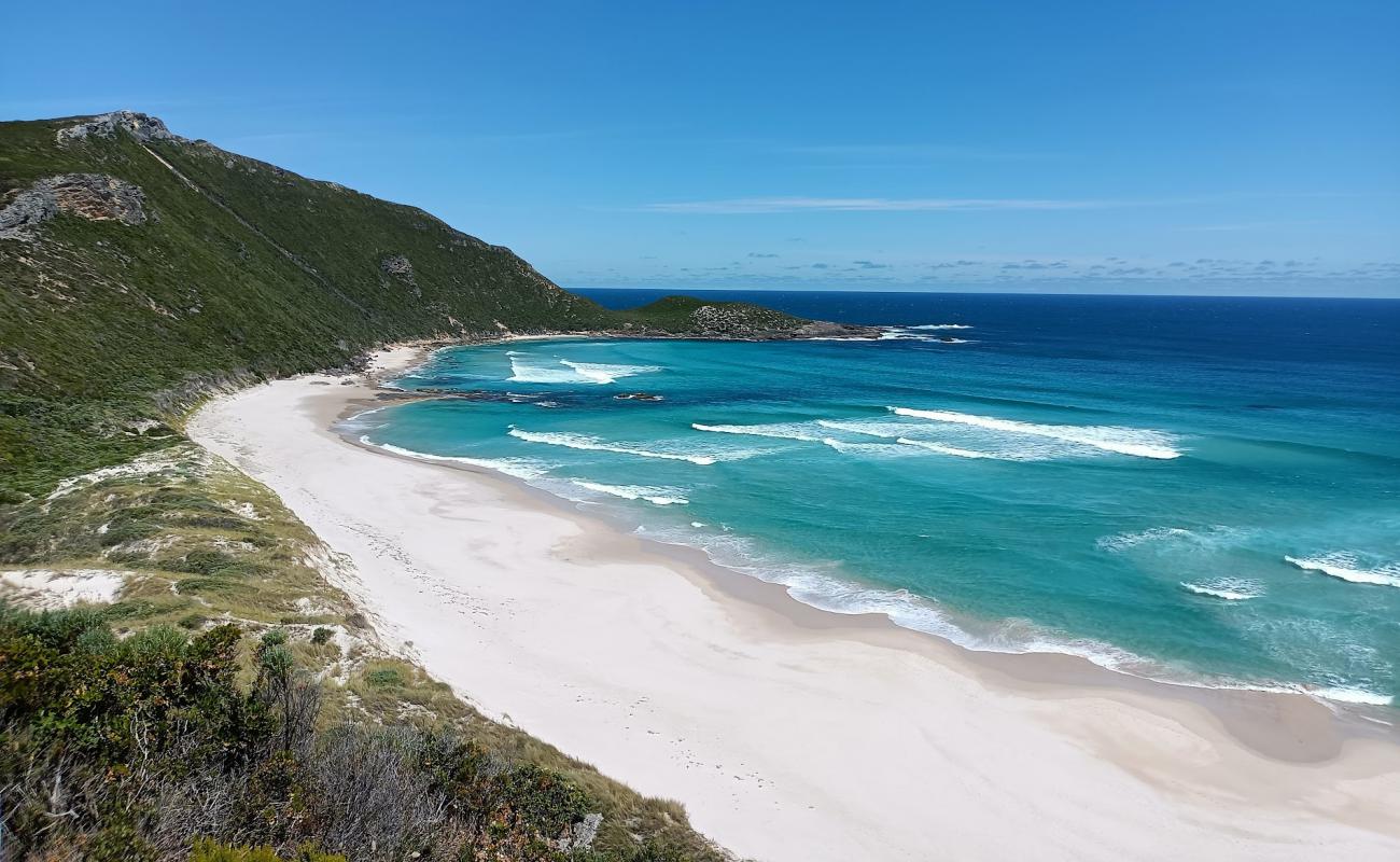 Foto af Conspicuous Cliff Beach med lys sand overflade