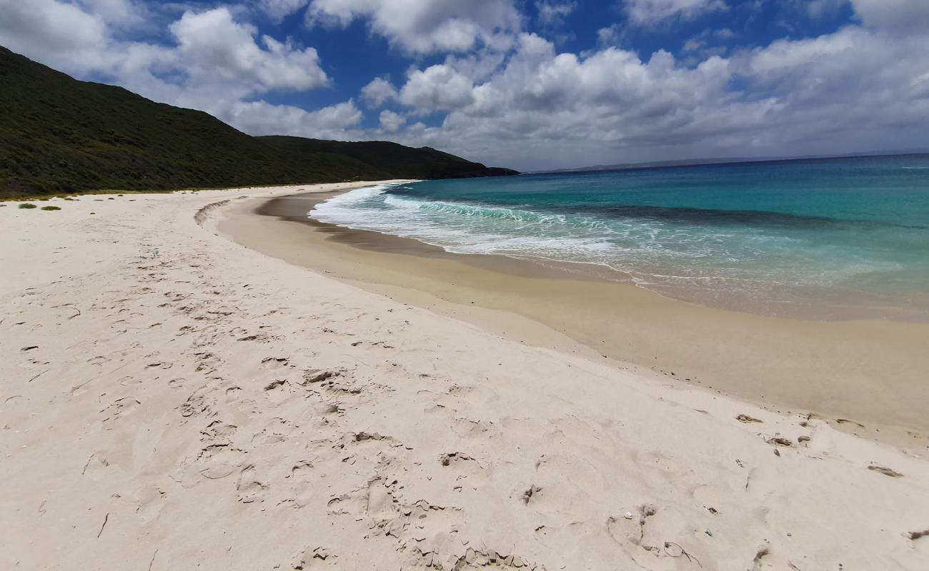 Foto af Shelly Beach med lys sand overflade