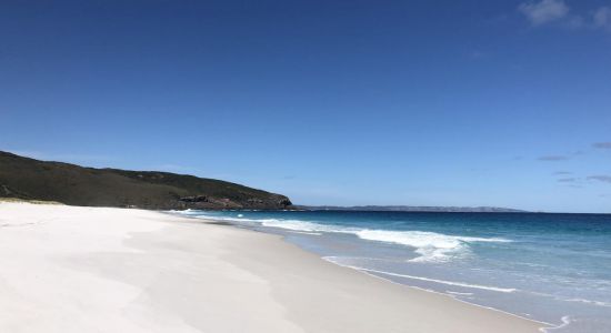 Dingo Beach