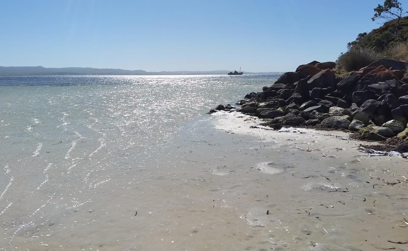 Foto af Vancouver Beach med lys sand overflade