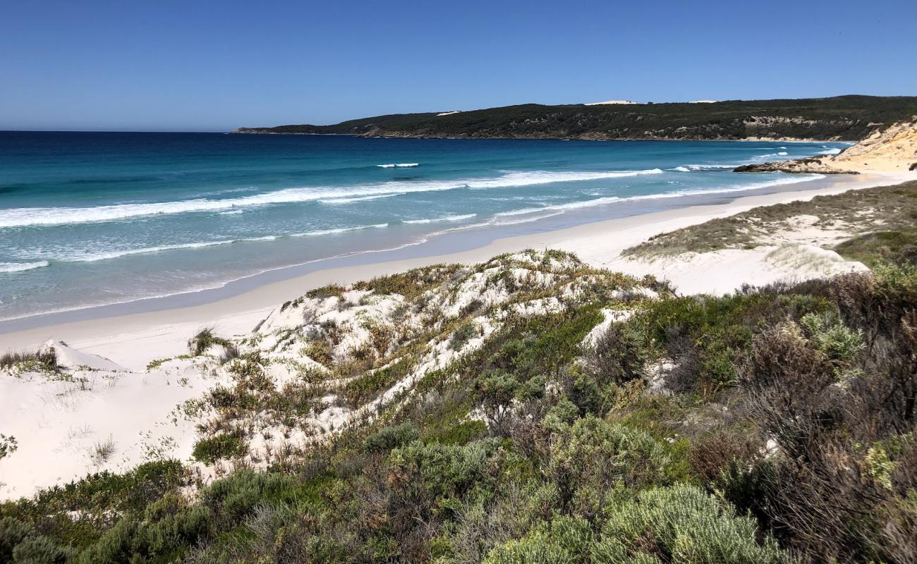 Foto af Dillon Beach med lys sand overflade