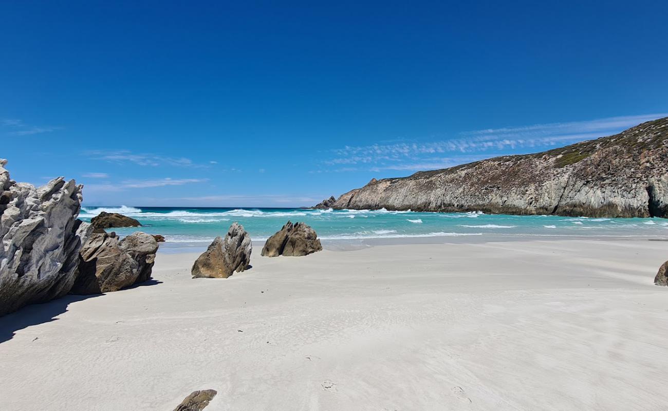 Foto af Whalebone Beach med hvidt fint sand overflade