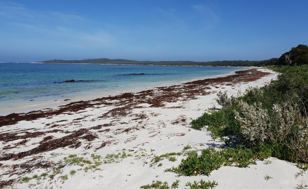 Foto af Mason Beach med lys sand overflade