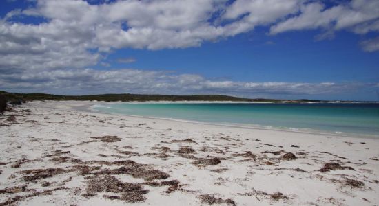 Poison Creek Beach