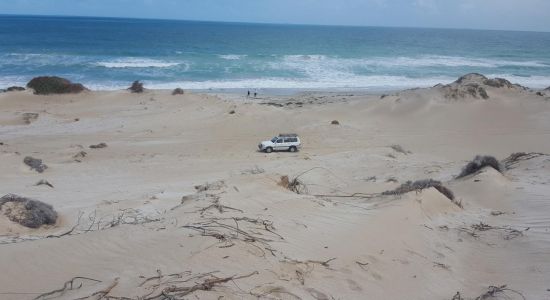 Davenport Creek Beach