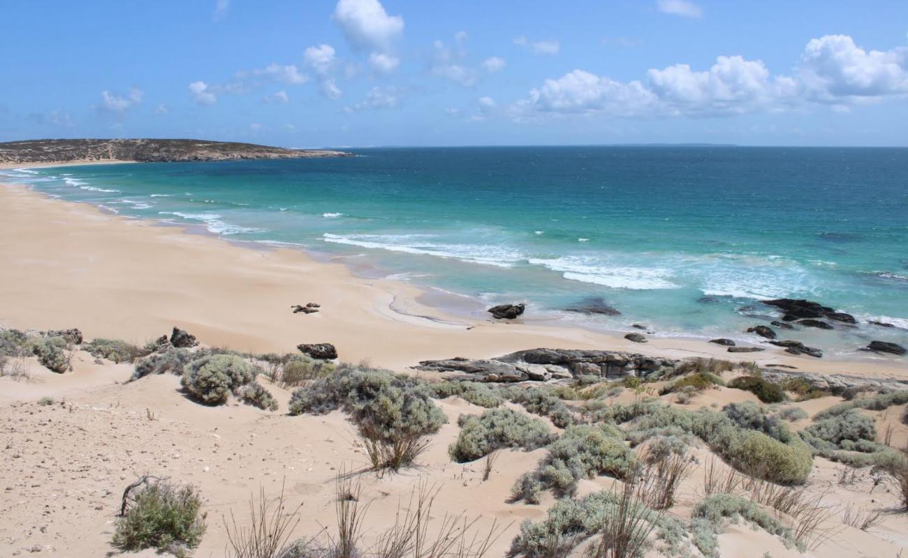 Foto af Greenly Beach med lys sand overflade