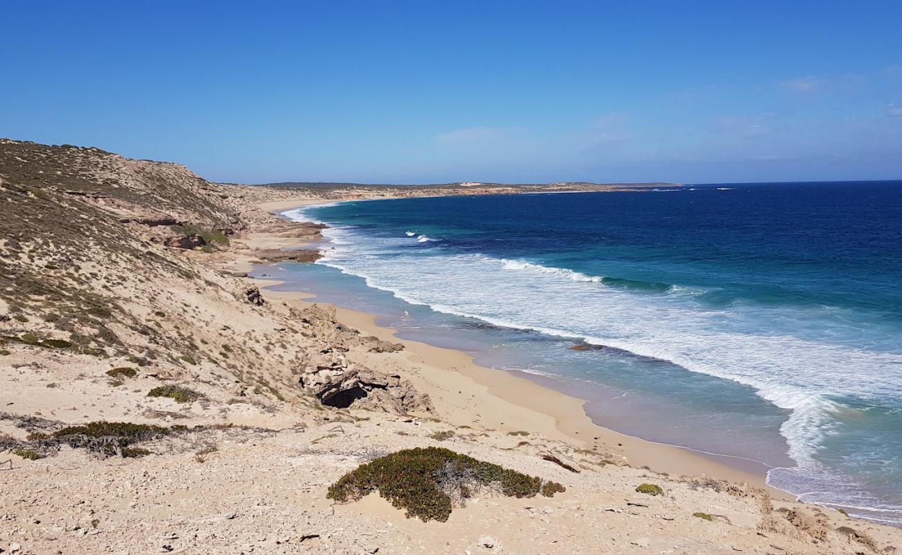 Foto af Long Beach med lys sand overflade