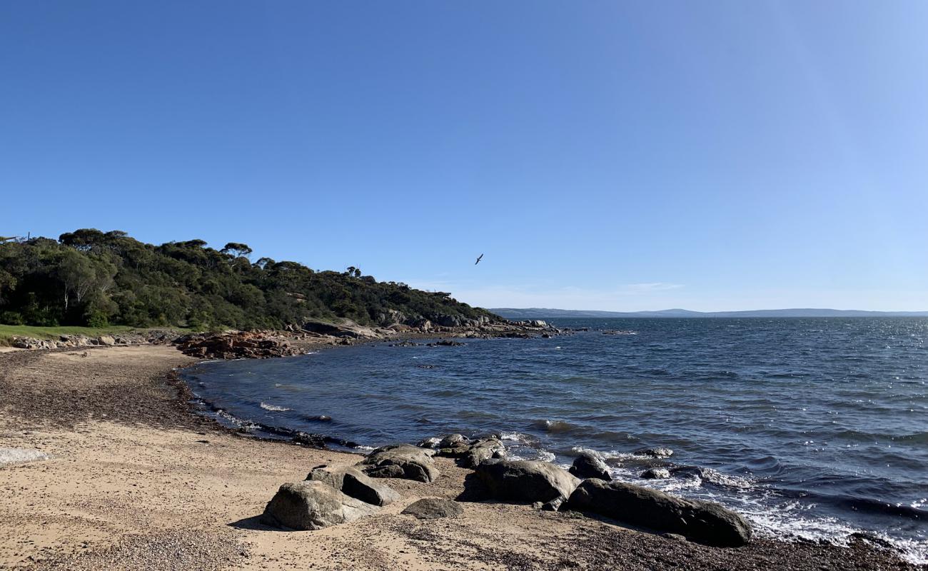 Foto af Shelly Beach med let fin sten overflade