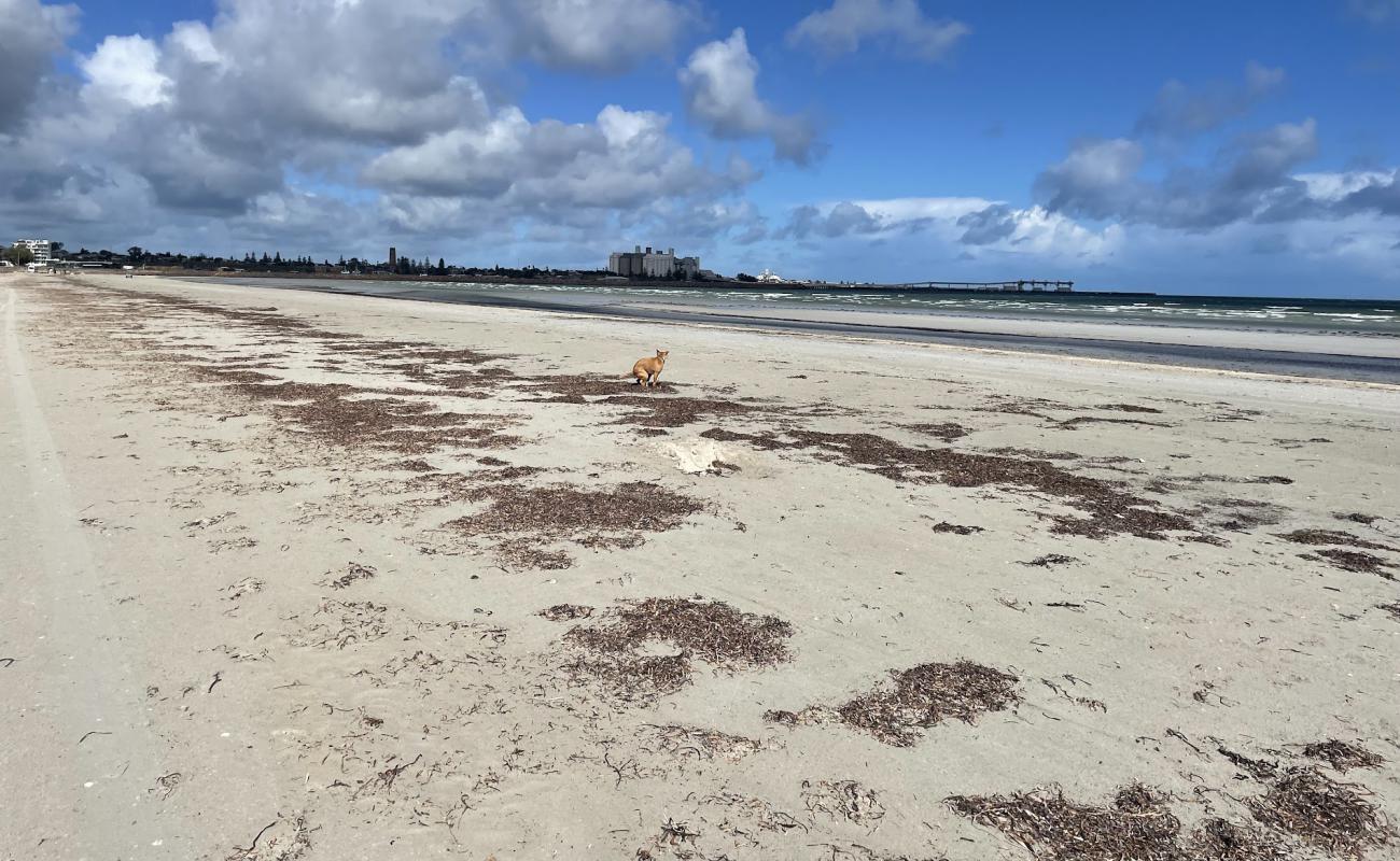 Foto af North Beach Foreshore med lys sand overflade