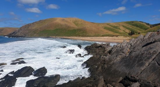 Balquidder Beach