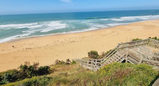 Logans Beach Whale Nursery