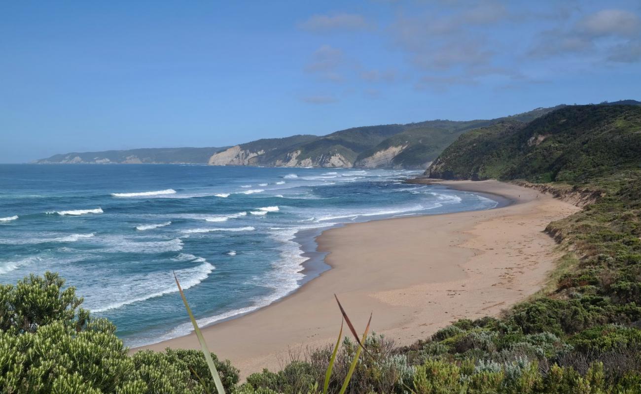 Foto af Johanna Beach med lys sand overflade