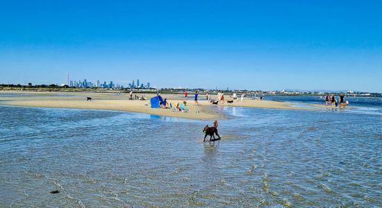 Altona Beach Dog Off