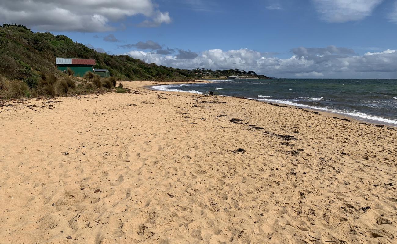 Foto af Leash Free Beach med lys sand overflade