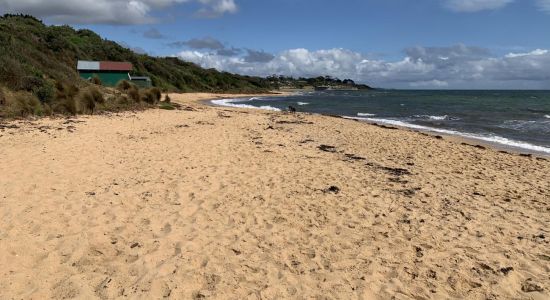 Leash Free Beach