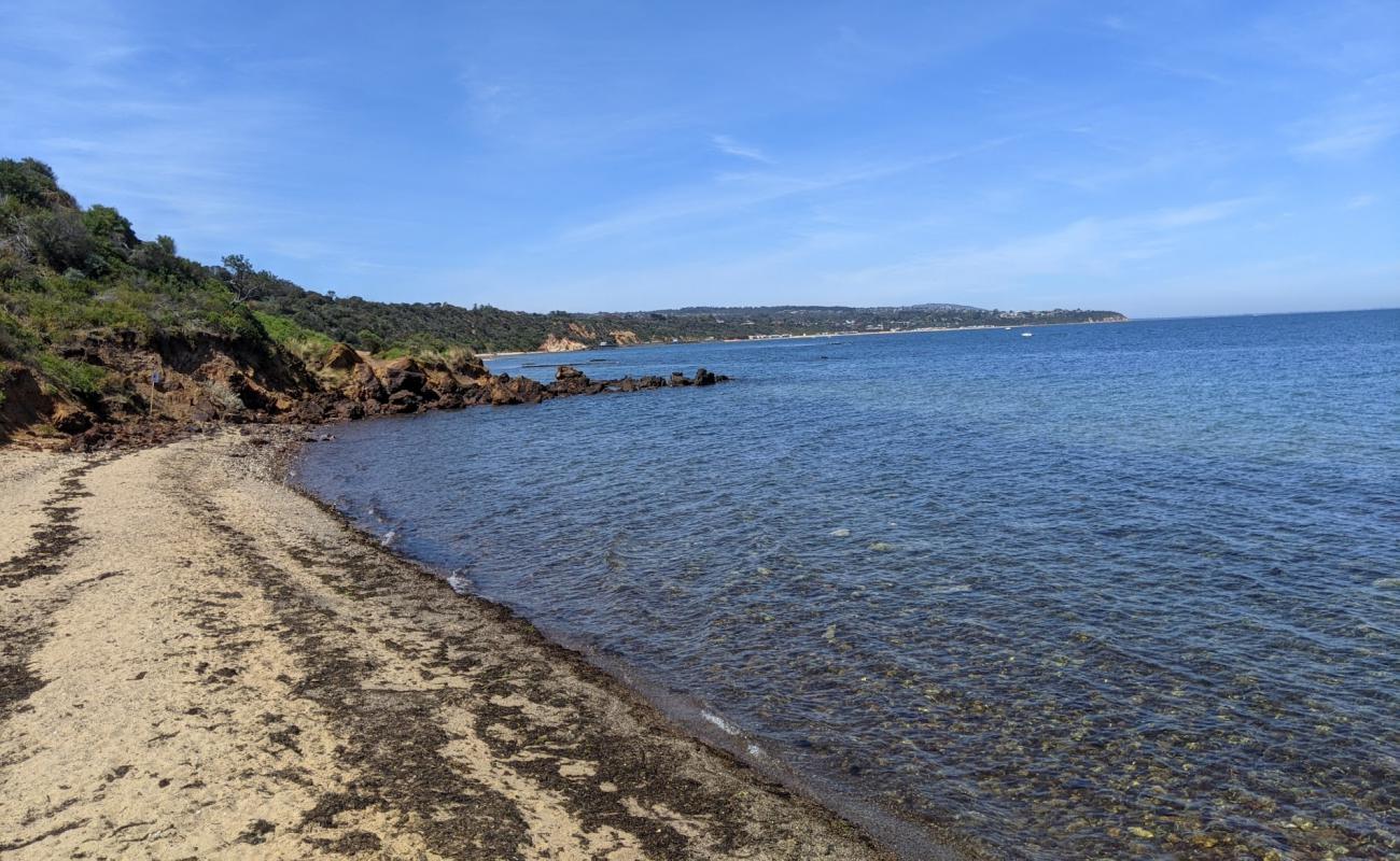 Foto af Fosters Beach med gråt sand og sten overflade