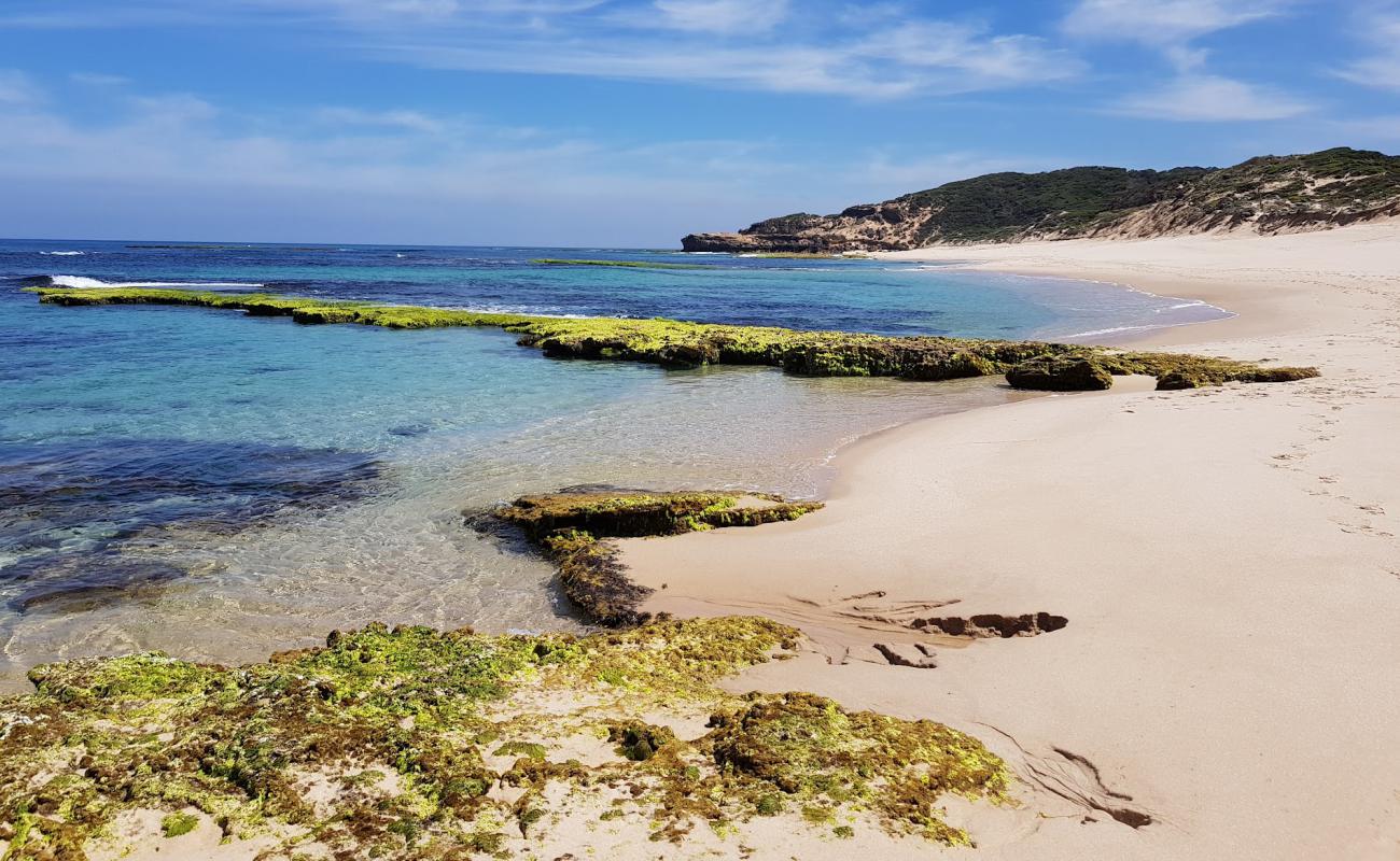 Foto af Koonya Ocean Beach med lys sand overflade