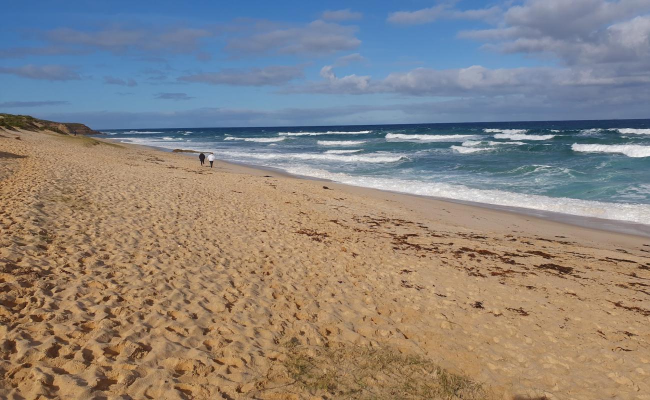 Foto af Number Sixteen Beach med lys sand overflade