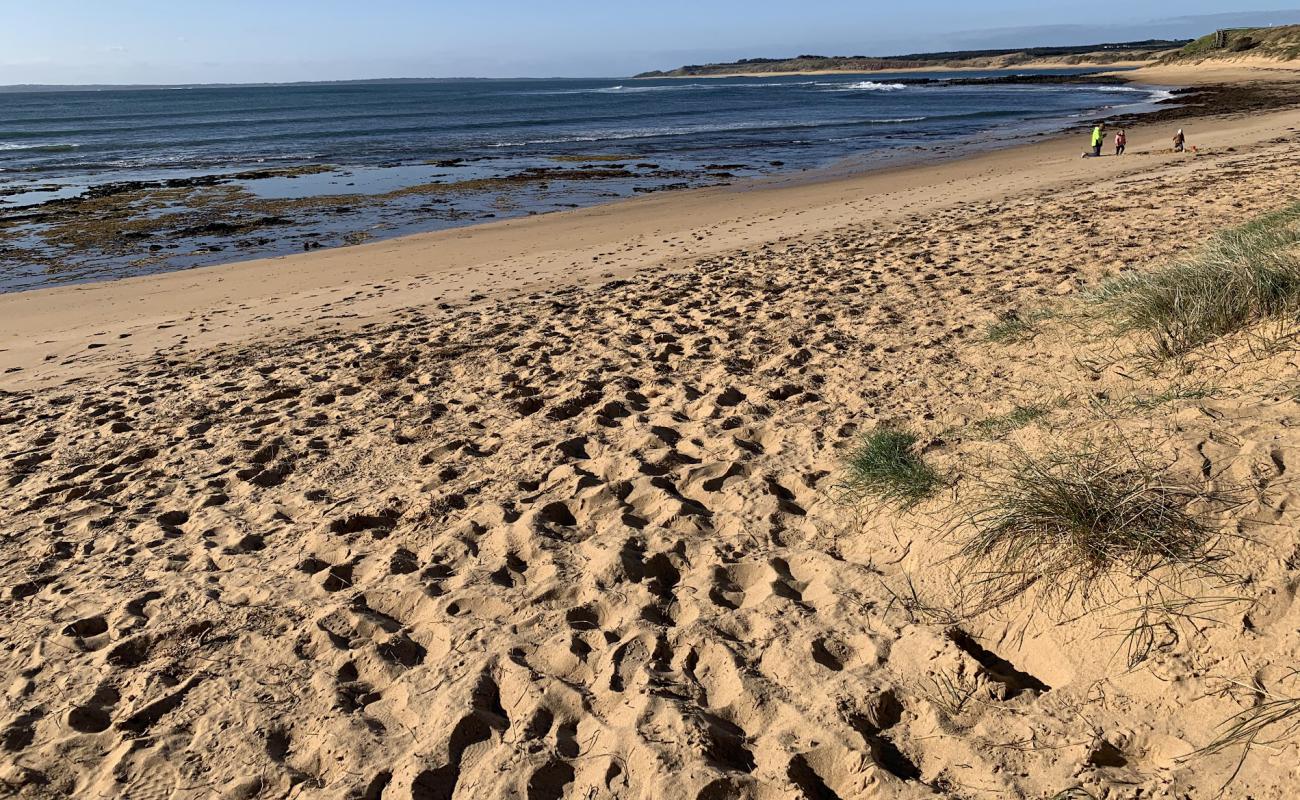 Foto af Shelly Beach med lys sand overflade