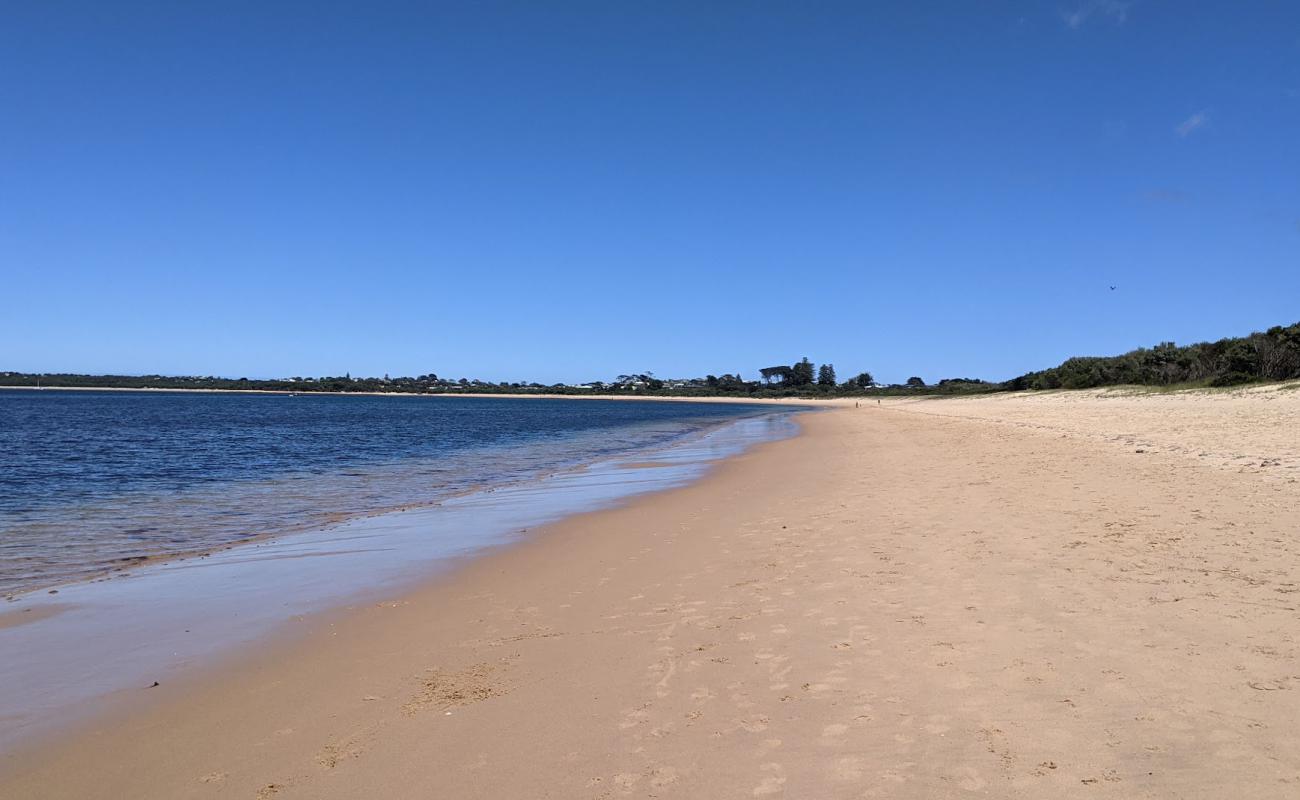 Foto af Cape Woolamai Beach med lys sand overflade