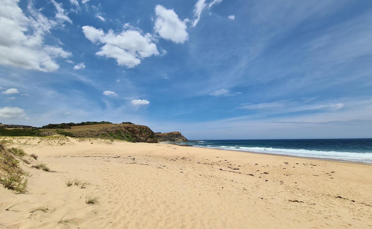 Foto af Punchbowl Beach med lys sand overflade