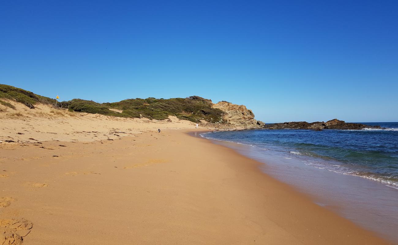 Foto af Shelley Beach med lys sand overflade