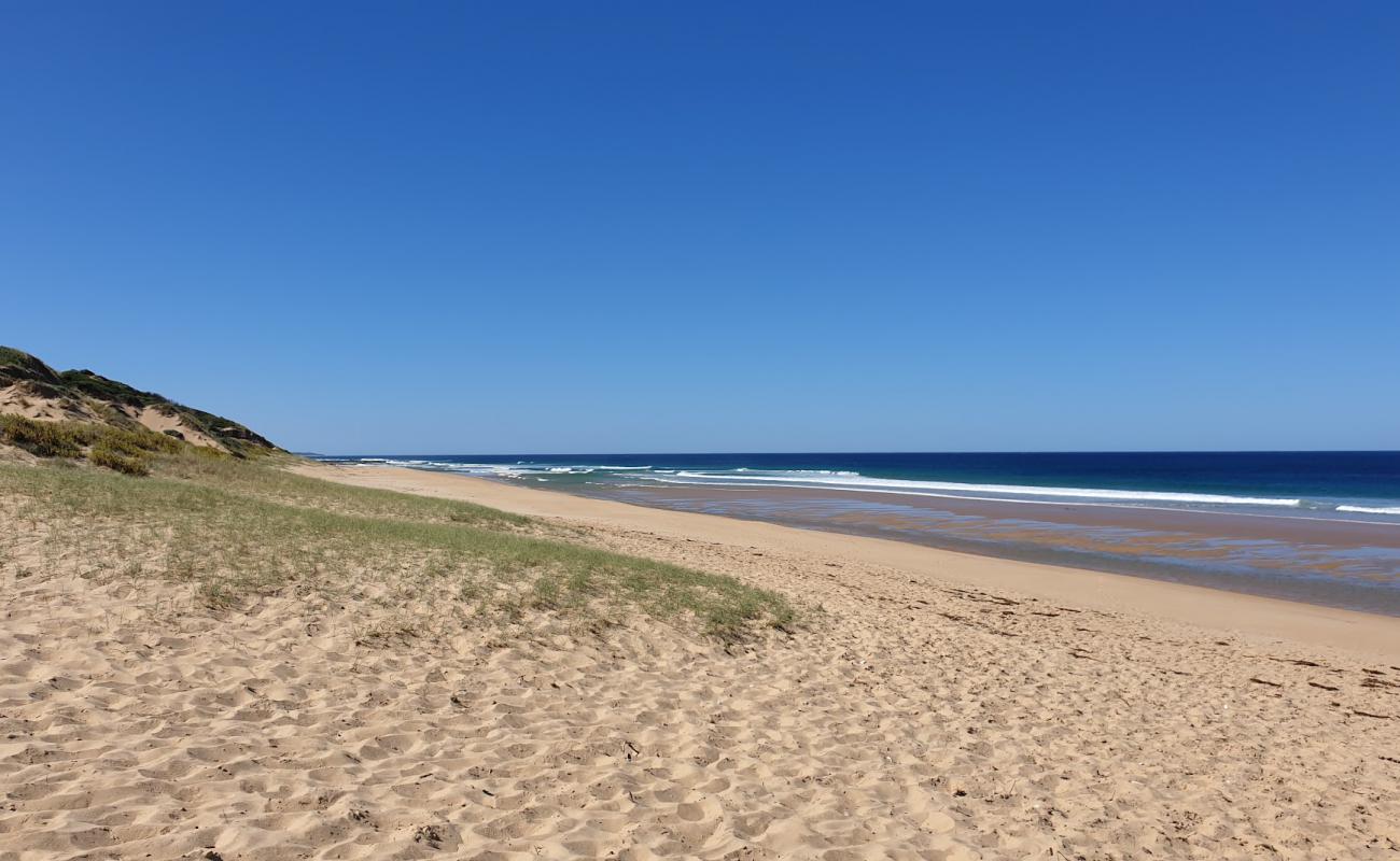 Foto af Mouth of Powlett Rd med lys sand overflade