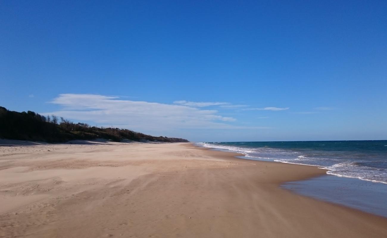 Foto af Mcloughlins Beach med lys fint sand overflade