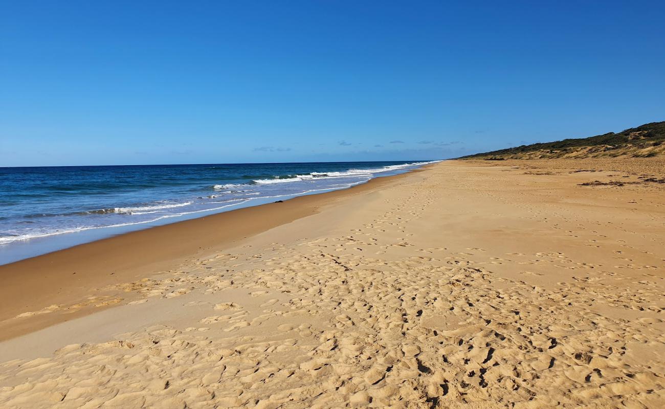 Foto af Ninety Mile Beach med lys fint sand overflade