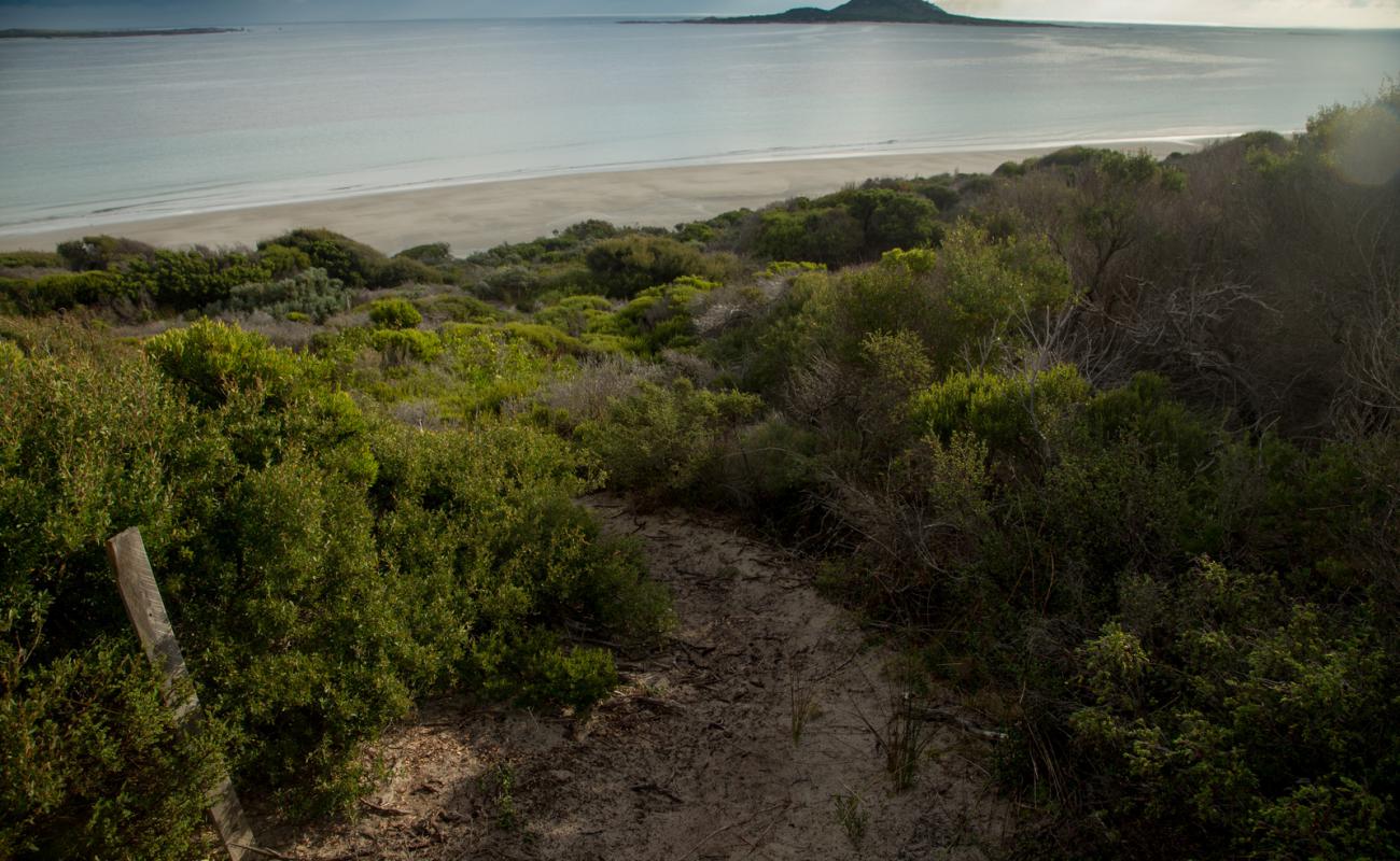 Foto af West End Beach med lys sand overflade