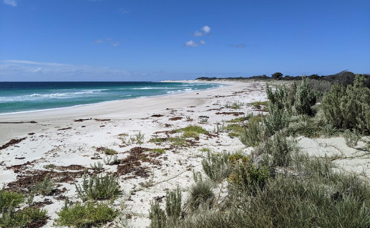 Foto af Mount William Beach med hvidt sand overflade