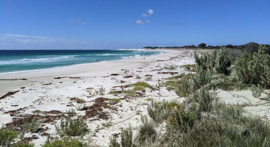 Mount William Beach