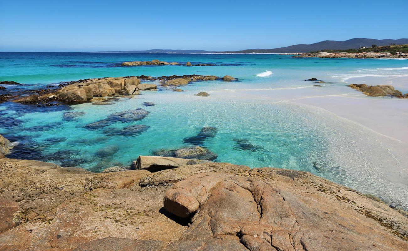 Foto af Suicide Beach med hvidt sand overflade