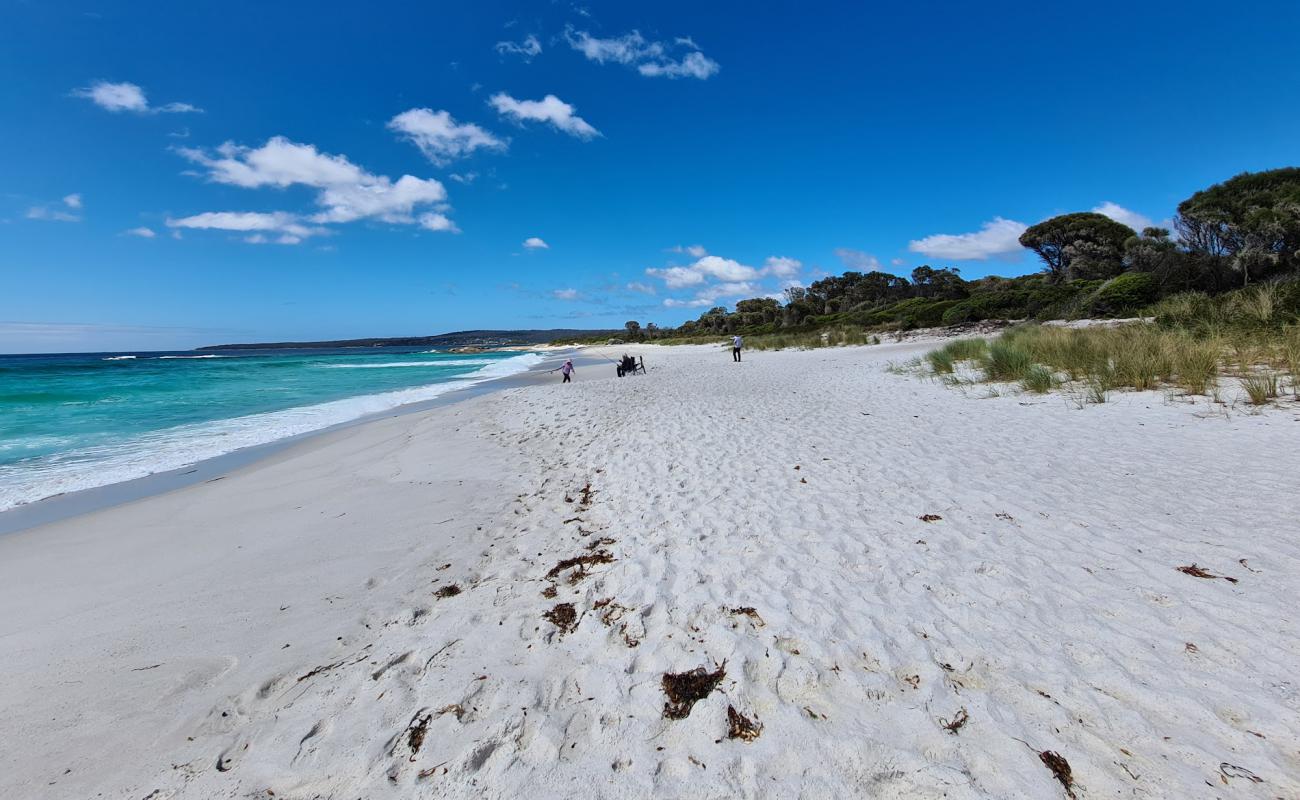 Foto af Cosy Corner Beach med hvidt fint sand overflade