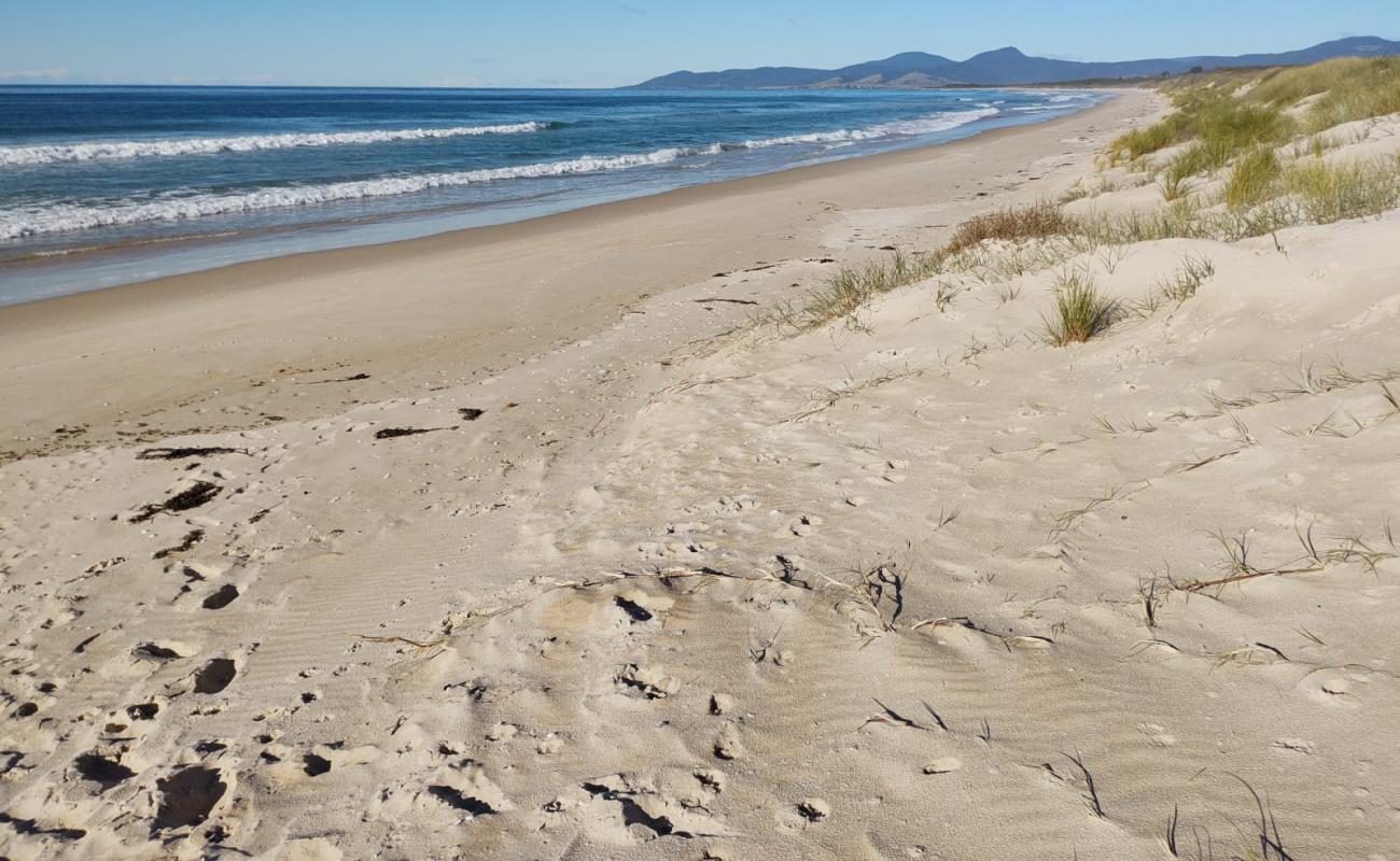 Foto af Beaumaris Beach med lys sand overflade