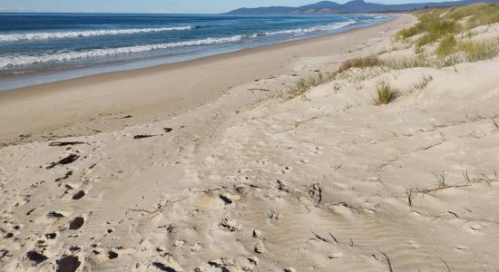 Beaumaris Beach