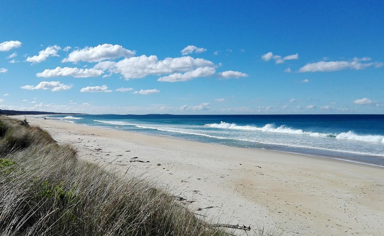 Foto af Steels Beach med lys sand overflade