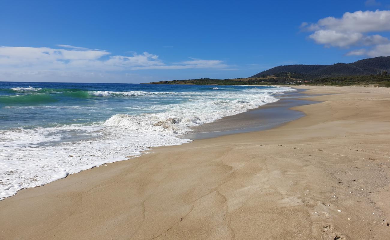 Foto af Four Mile Creek Beach med lys sand overflade