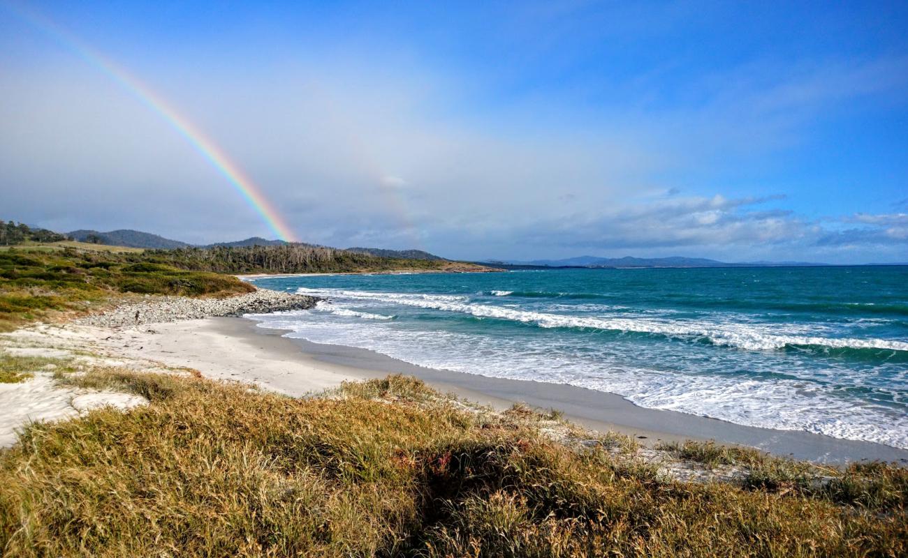 Foto af Aulichs Beach med lys sand overflade