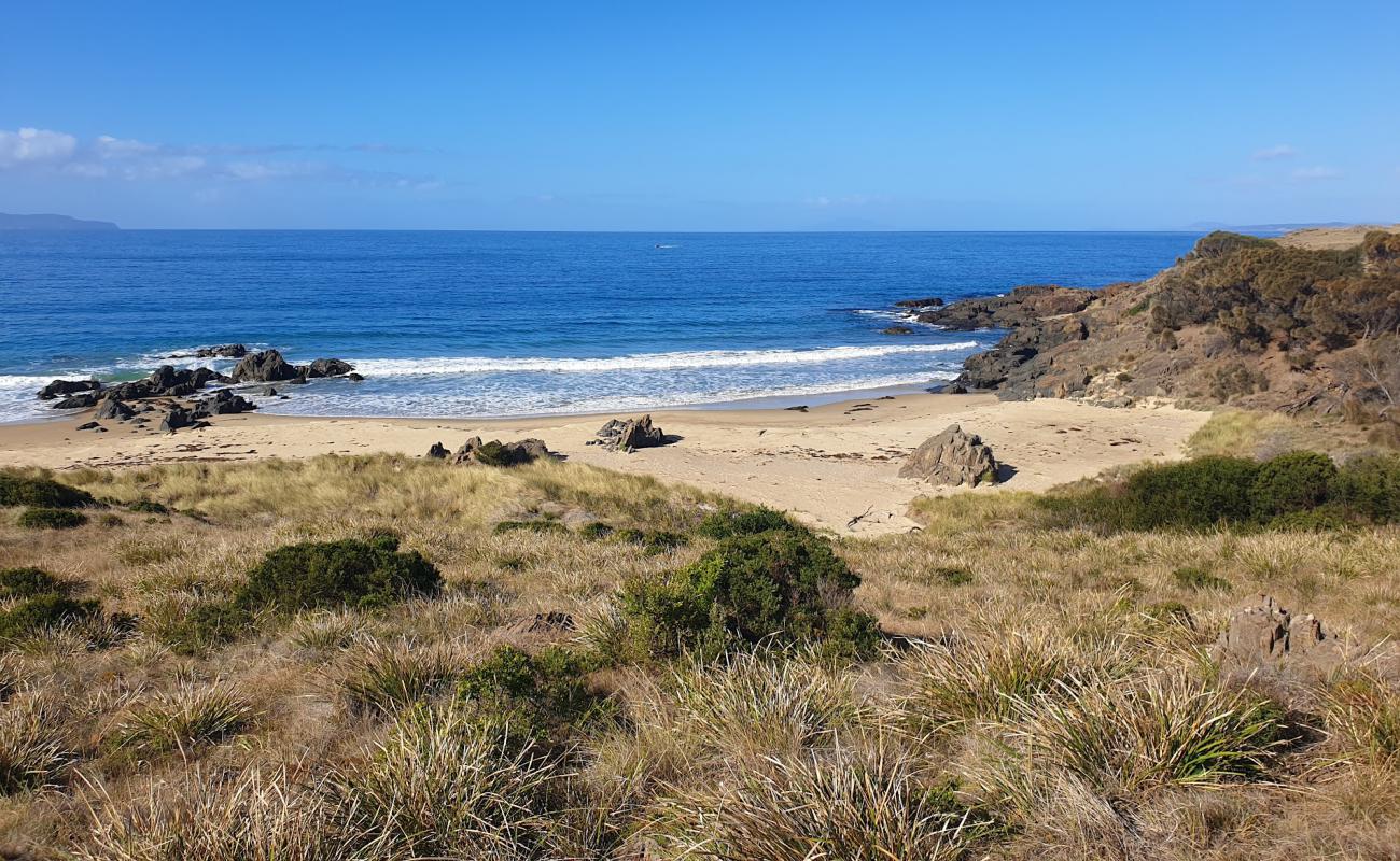 Foto af Cressy Beach med let sand og småsten overflade