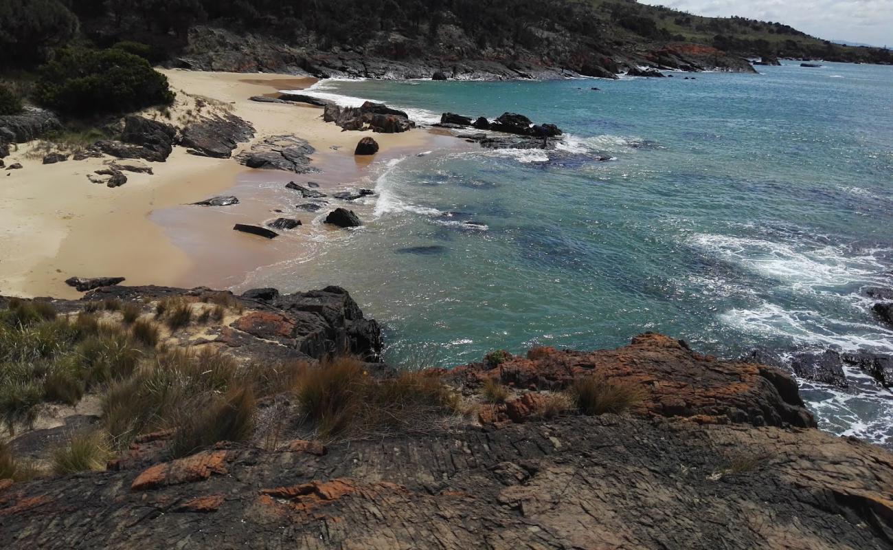 Foto af Spiky Beach med lys sand overflade