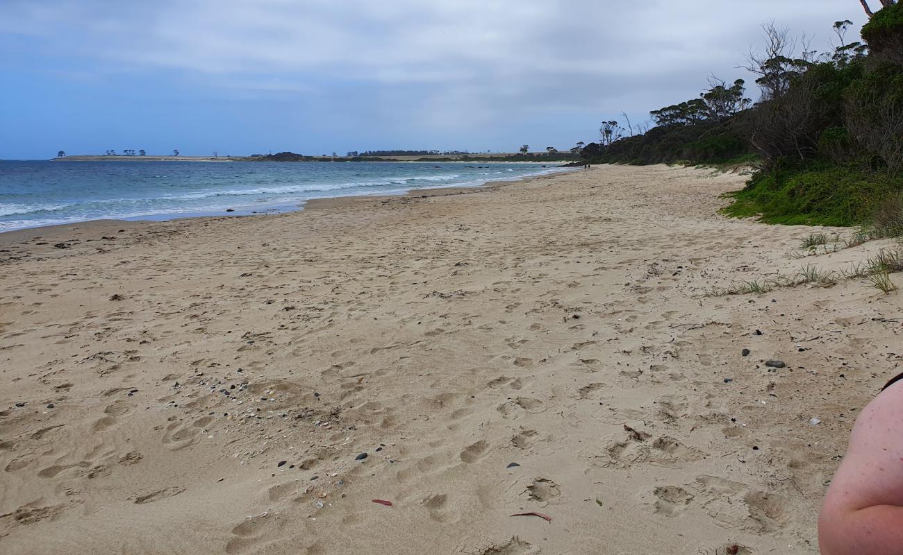 Foto af Mayfield Beach med lys sand overflade