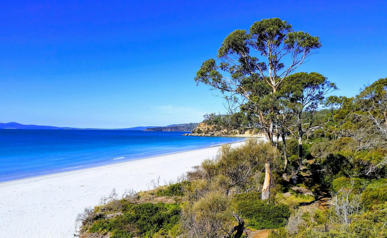 Foto af Stapleton Beach med lys sand overflade