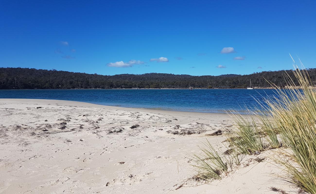 Foto af Marion Beach med lys fint sand overflade