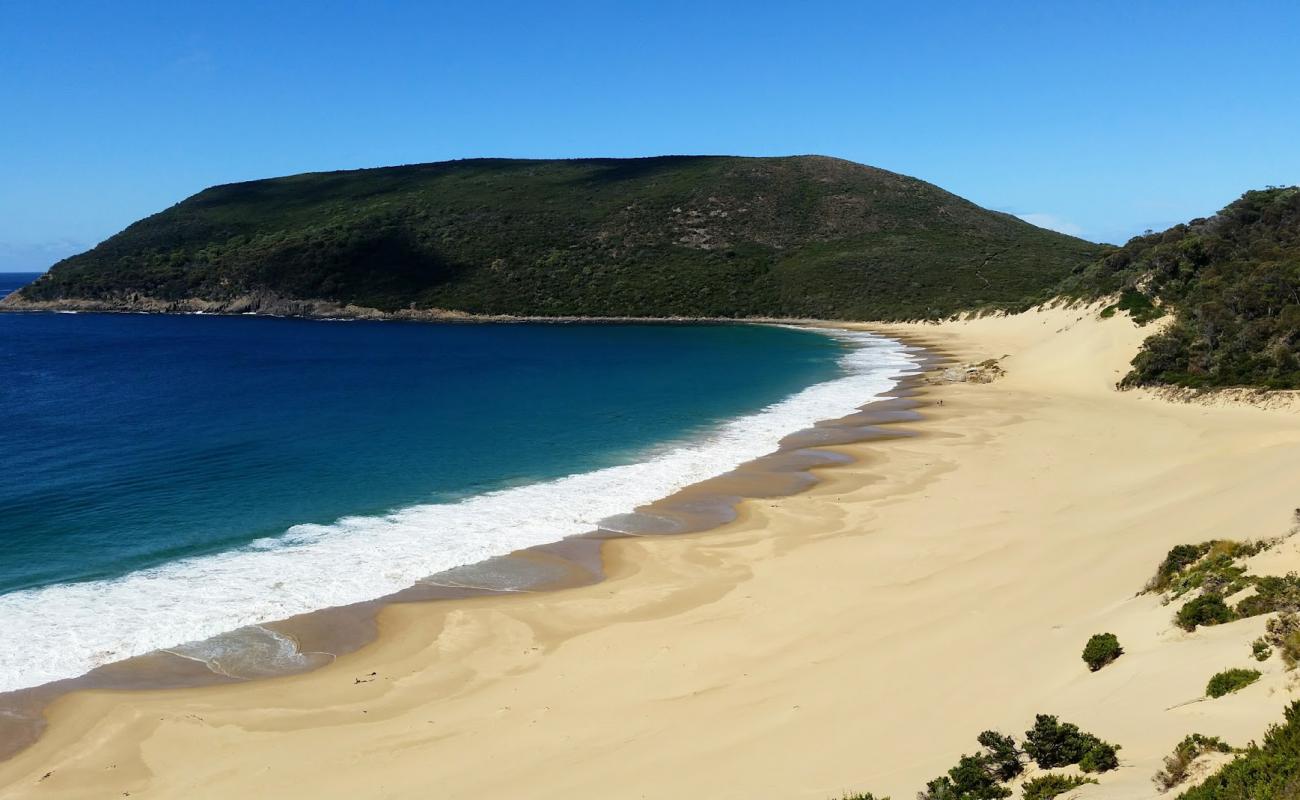 Foto af Cape Pillar Beach med lys fint sand overflade