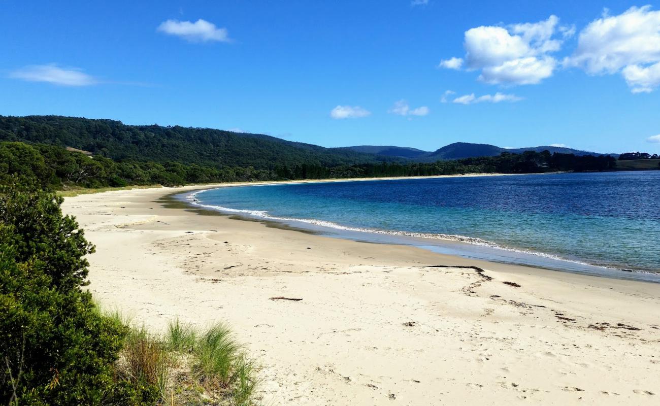 Foto af Safety Cove Beach med lys fint sand overflade