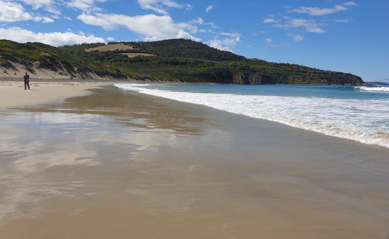 Foto af Roaring Beach Beach med let fin sten overflade